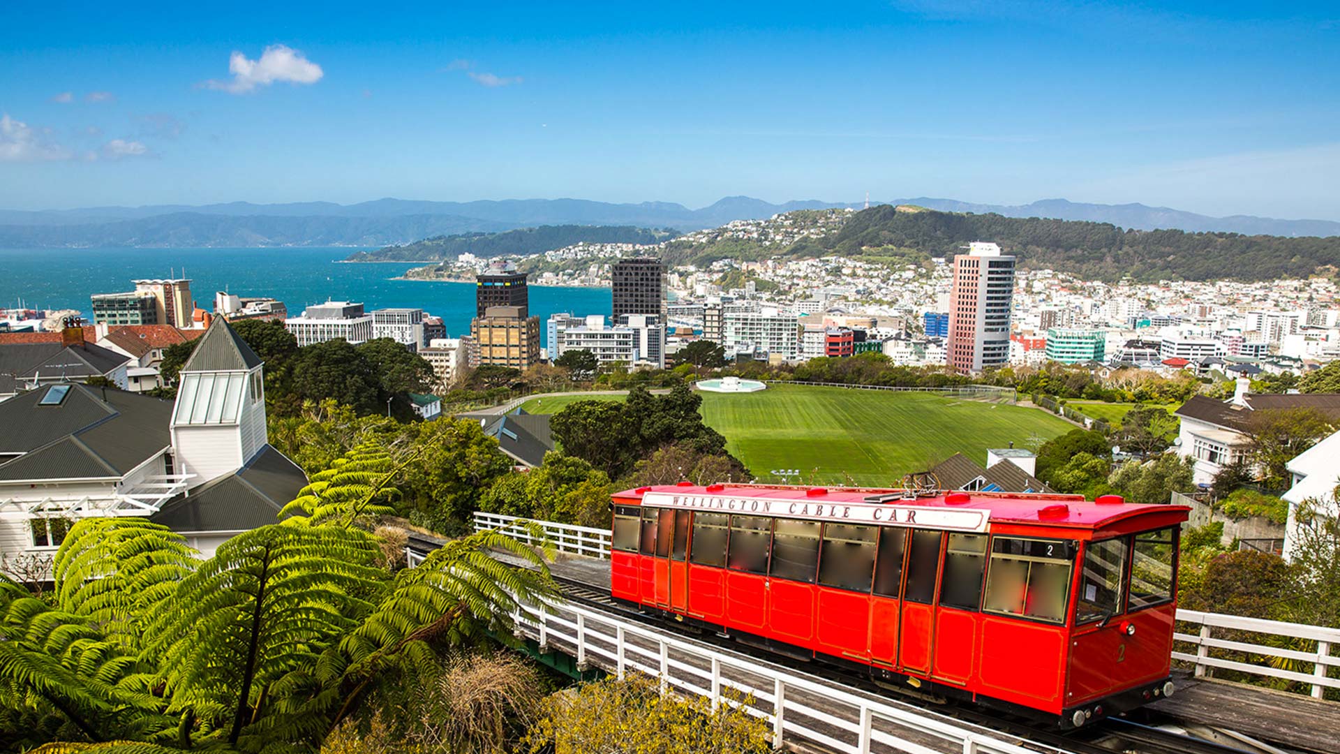 Wellington City and Bays Morning Tour | GreatSights New 